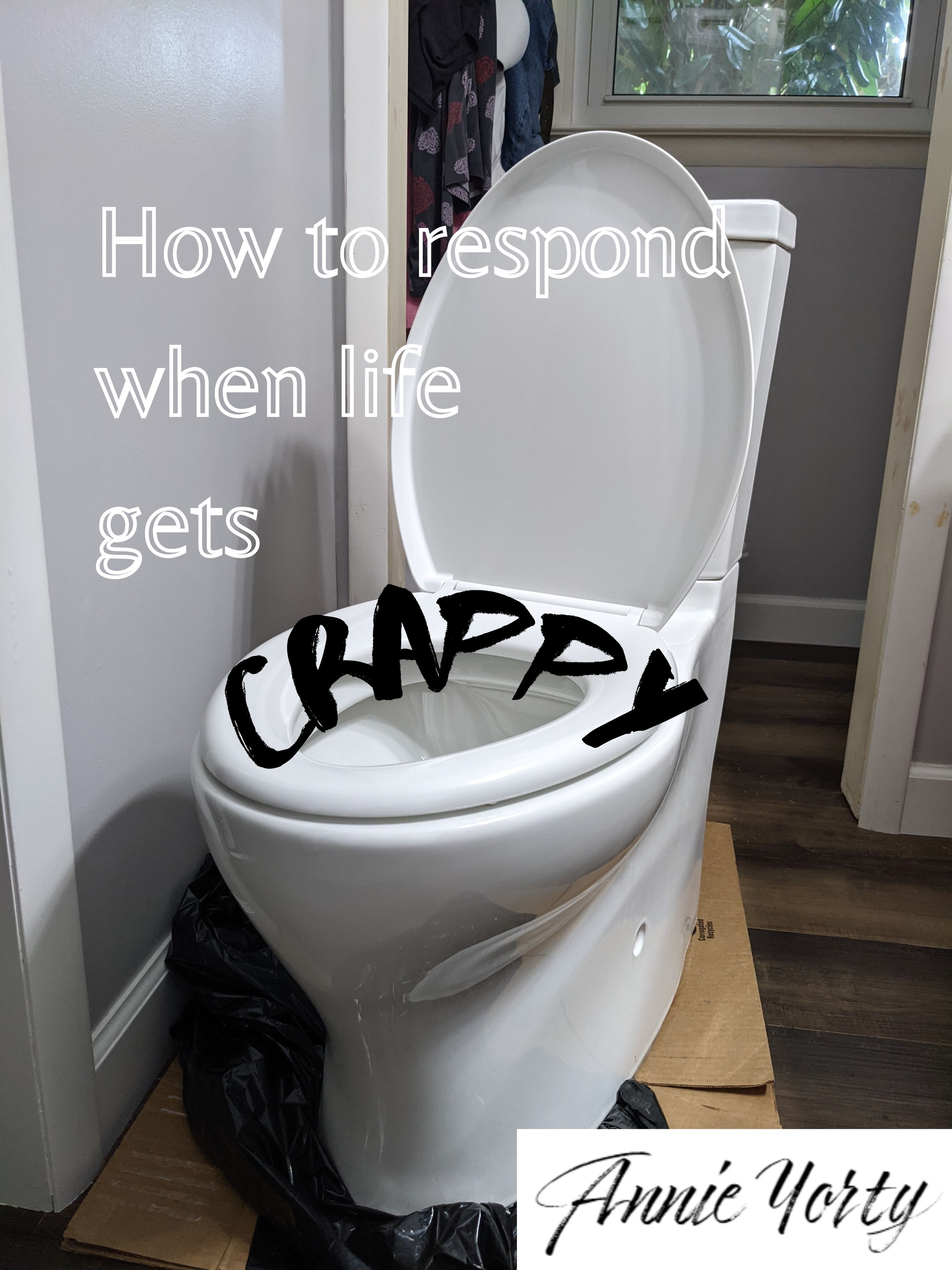 How to respond when life gets crappy