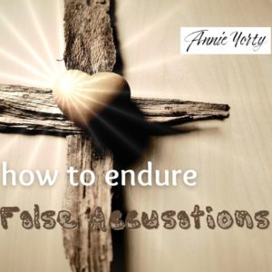 How to endure false accusations