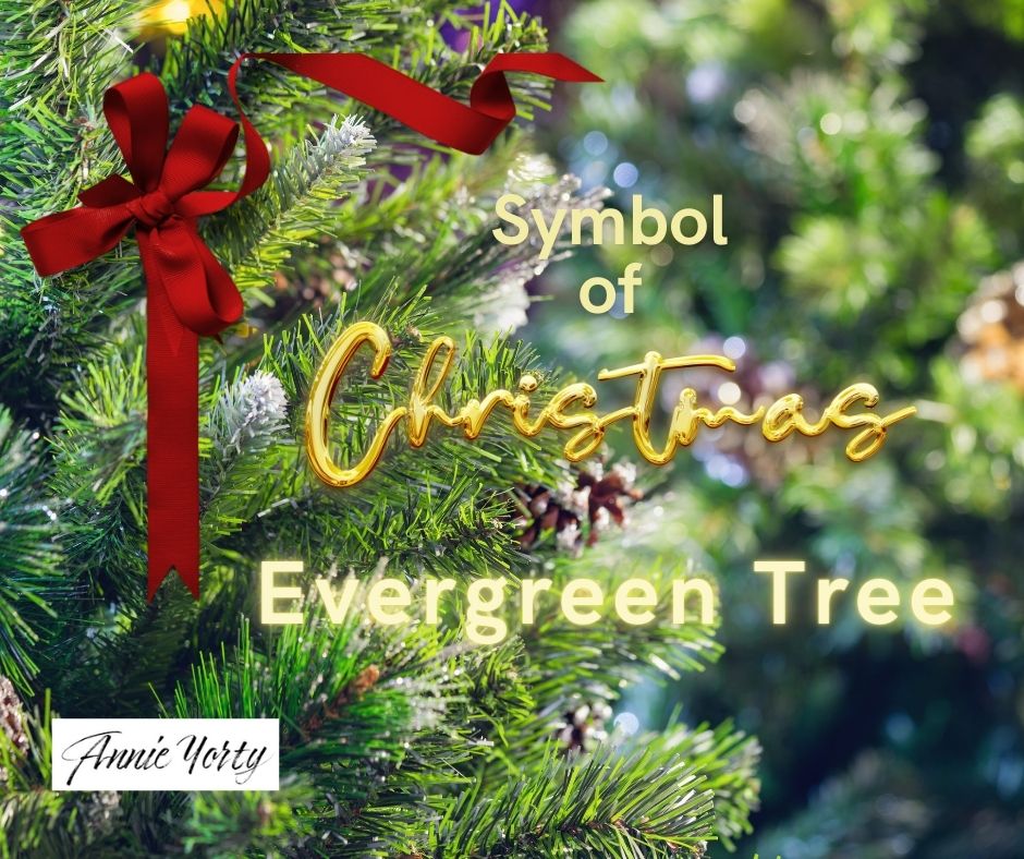 Symbol of Christmas—Evergreen Tree — Annie Yorty