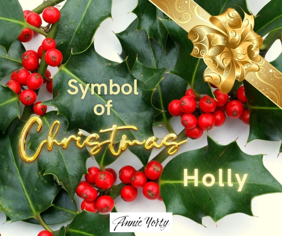 Holly—Symbol of Christmas — Annie Yorty