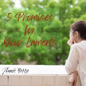 Promises for your laments