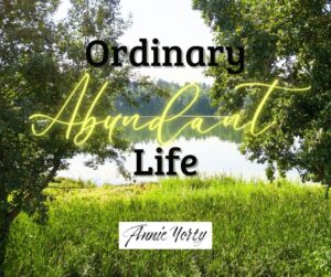 ordinary abundant life