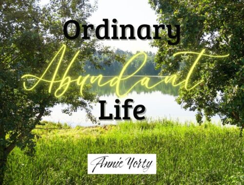ordinary abundant life