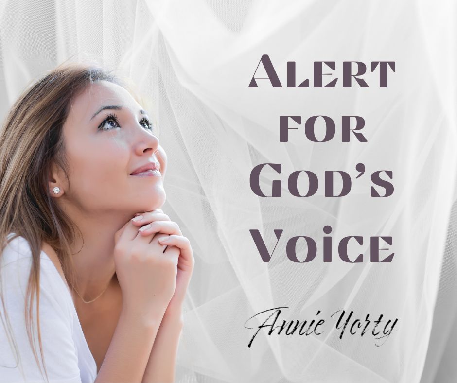 alert for god's voice