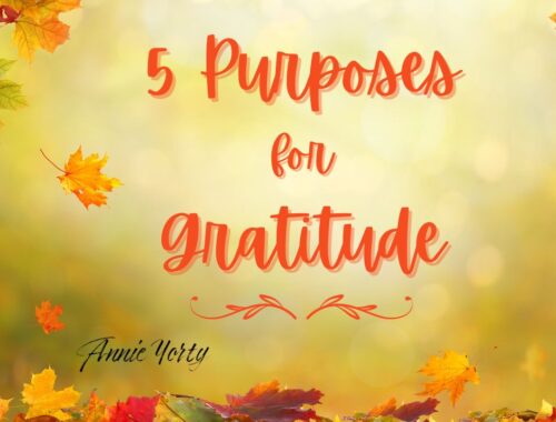 5 purposes for gratitude