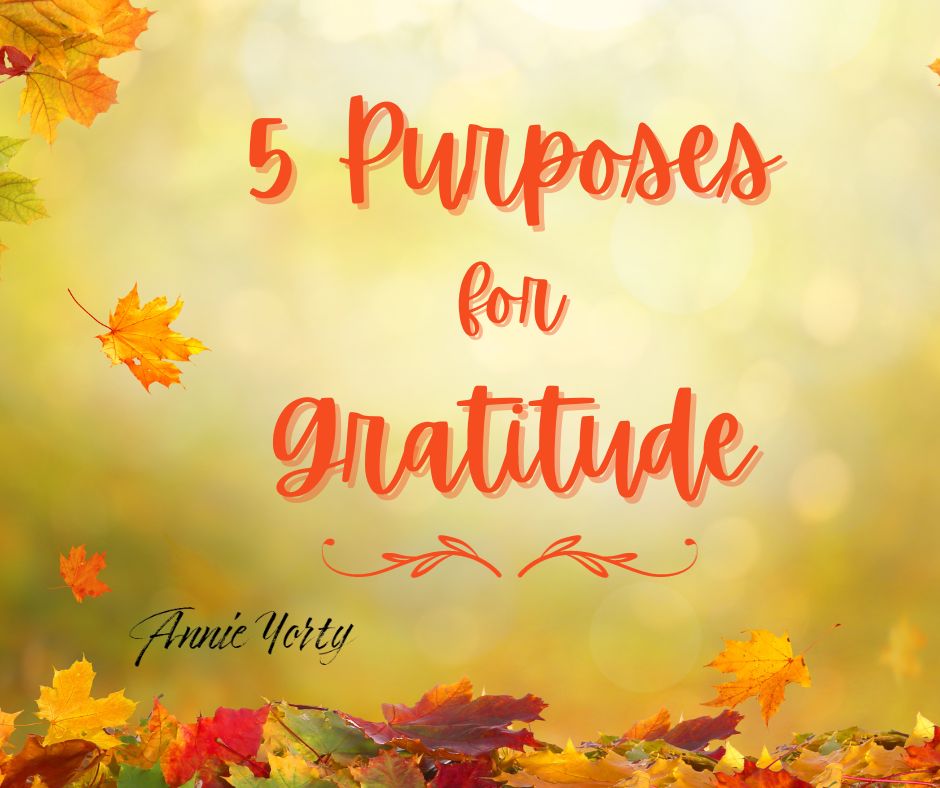 5 purposes for gratitude
