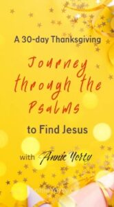 Journey through the Psalms